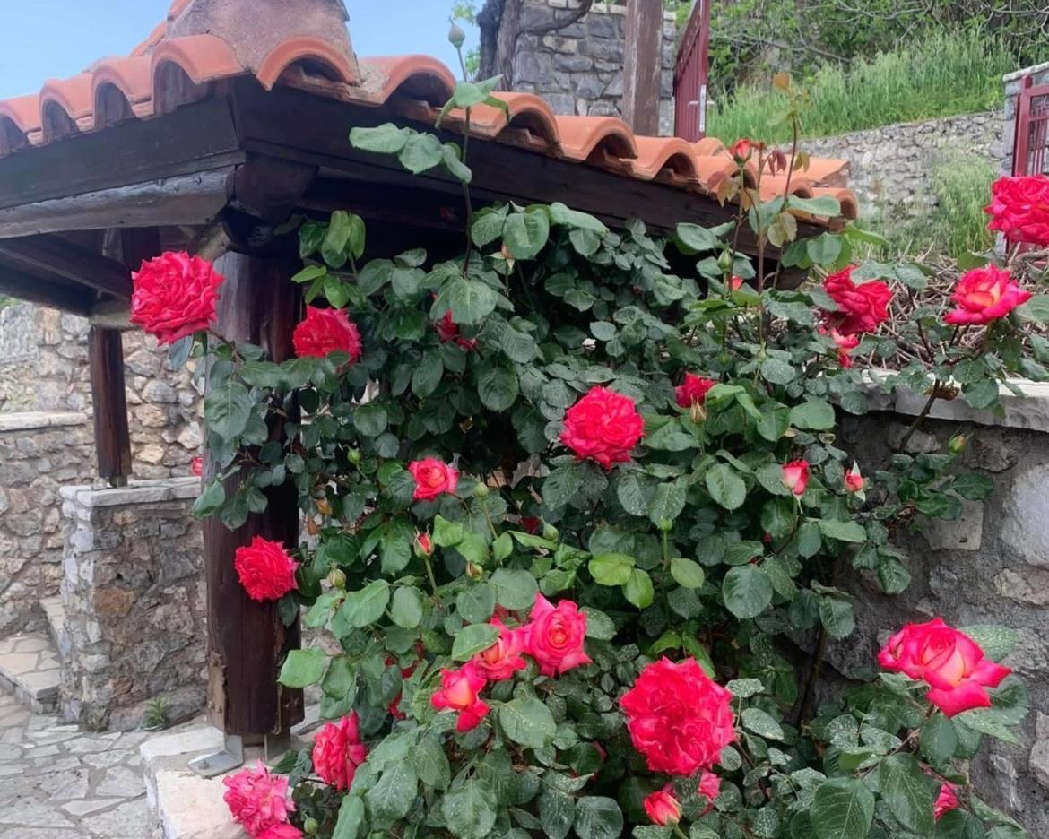 Terra Petra Villa At Psari Trikolonon Gortynia Psarion Екстер'єр фото