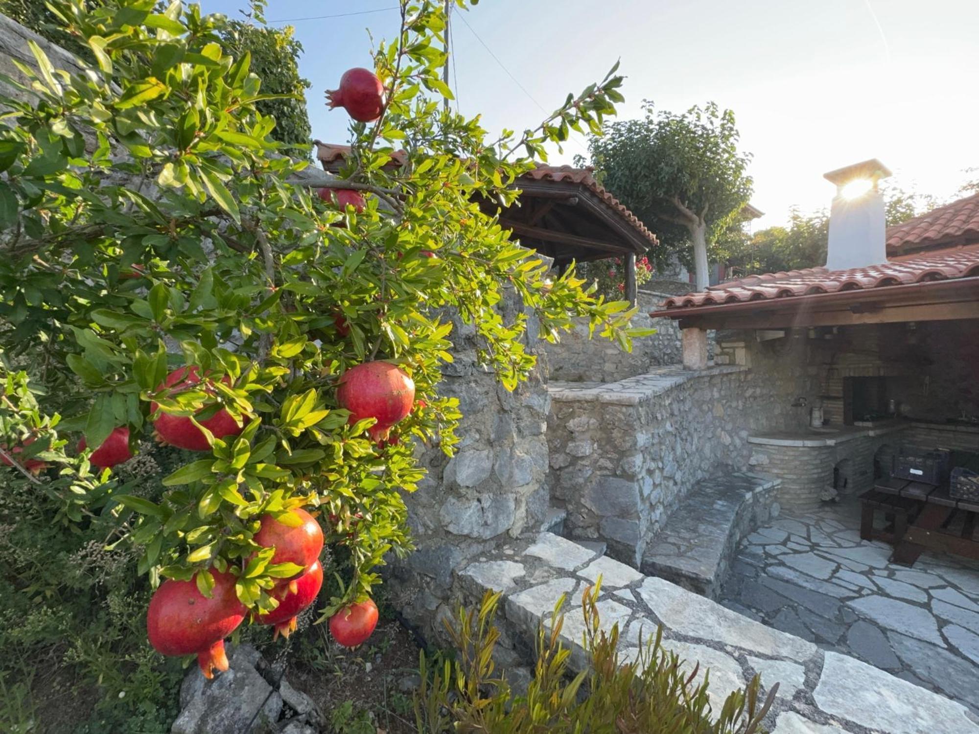 Terra Petra Villa At Psari Trikolonon Gortynia Psarion Екстер'єр фото